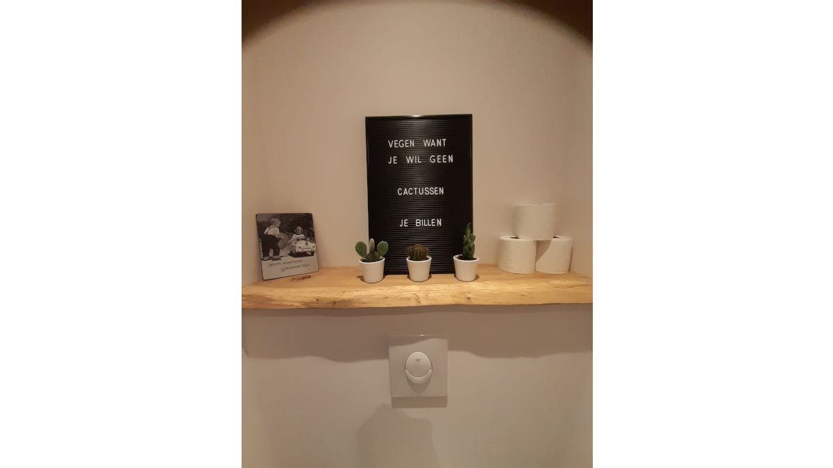 Installatie toilet